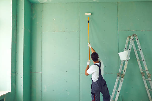 Best Mold Prevention Services  in Mitchell, IL