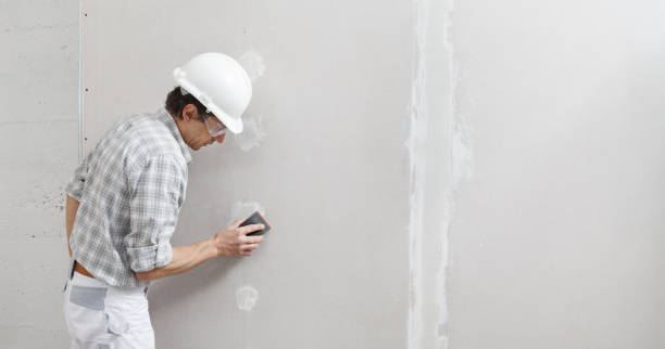 Best Residential Mold Inspection & Testing  in Mitchell, IL