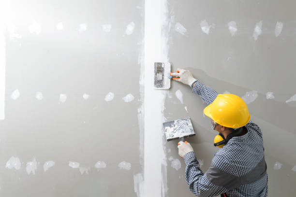 Best Mold Documentation for Insurance Claims  in Mitchell, IL