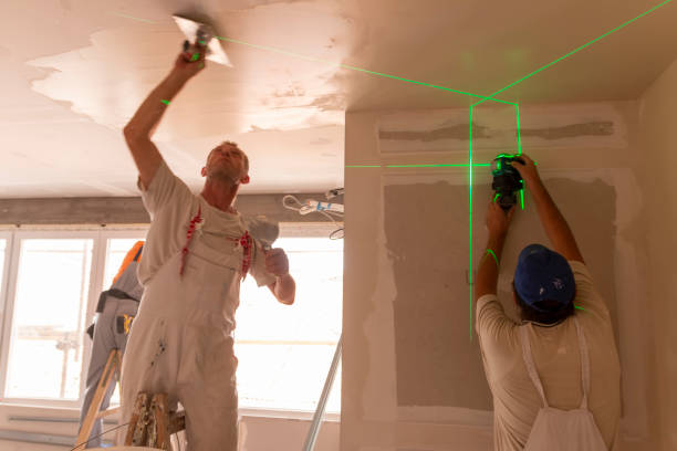 Environmental Consulting for Mold Prevention in Mitchell, IL