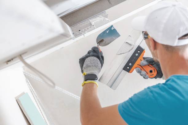 Best Emergency Mold Remediation  in Mitchell, IL